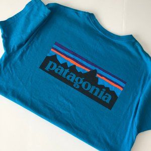 Patagonia Men's P-6 Logo Organic Cotton T-shirt